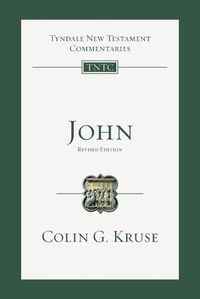 Cover image for John: An Introduction and Commentary