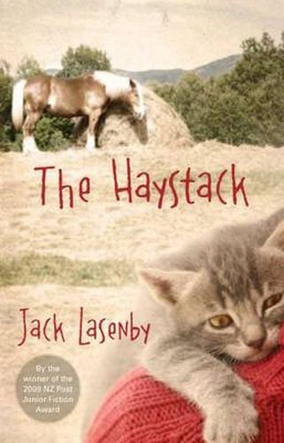 Cover image for The Haystack