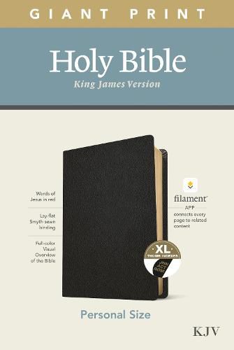 Cover image for KJV Personal Size Giant Print Bible, Filament Edition, Black