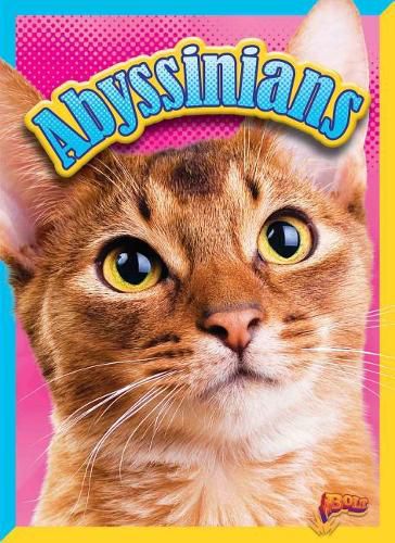 Cover image for Abyssinians