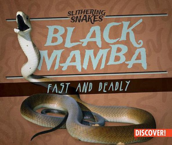 Cover image for Black Mamba: Fast and Deadly