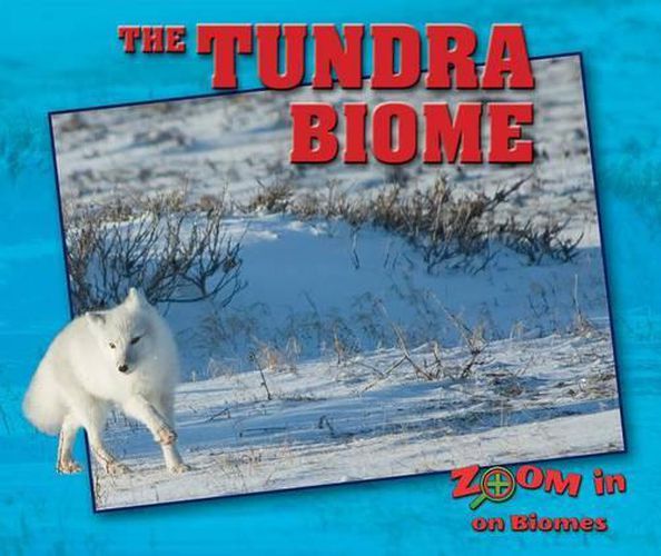 Cover image for The Tundra Biome