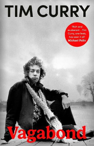 Cover image for Vagabond
