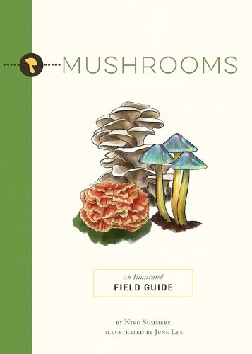 Cover image for Mushrooms: An Illustrated Field Guide