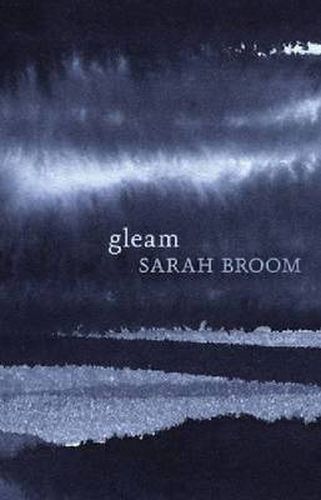 Cover image for Gleam: Paperback