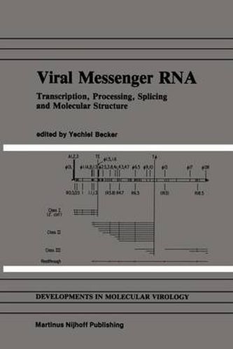 Cover image for Viral Messenger RNA: Transcription, Processing, Splicing and Molecular Structure