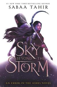 Cover image for A Sky Beyond the Storm