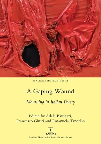 Cover image for A Gaping Wound