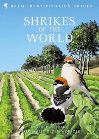 Cover image for Shrikes of the World