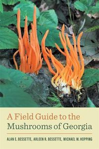 Cover image for A Field Guide to the Mushrooms of Georgia