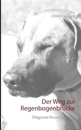 Cover image for Der Weg zur Regenbogenbrucke: Diagnose Knochenkrebs