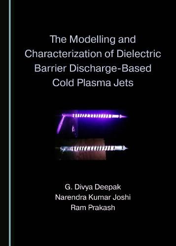 Cover image for The Modelling and Characterization of Dielectric Barrier Discharge-Based Cold Plasma Jets