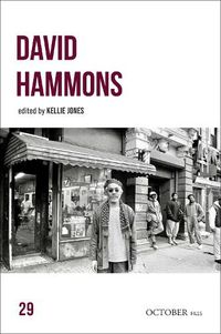 Cover image for David Hammons