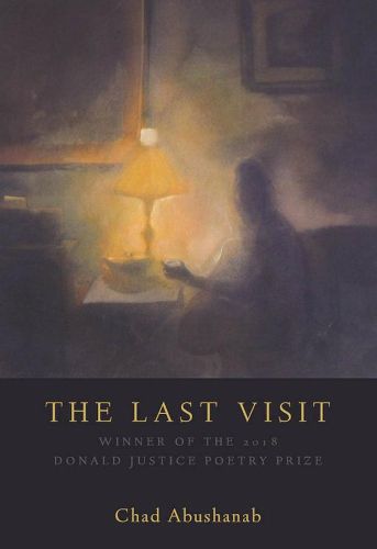 Cover image for The Last Visit