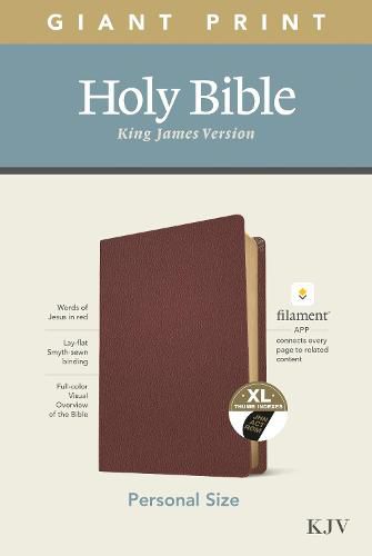 Cover image for KJV Personal Size Giant Print Bible, Filament Edition, Brown