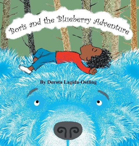 Cover image for Boris and the Blueberry Adventure