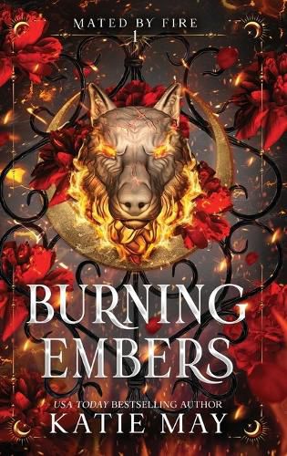 Cover image for Burning Embers