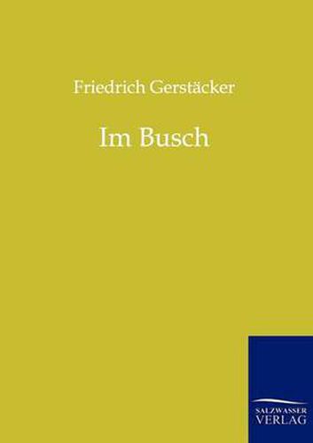 Cover image for Im Busch