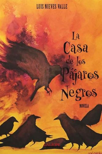 Cover image for La casa de los pajaros negros