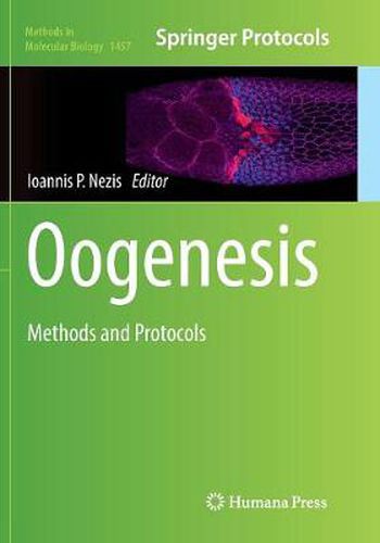 Cover image for Oogenesis: Methods and Protocols