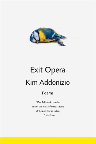 Cover image for Exit Opera