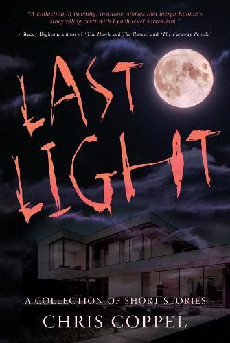 Cover image for Last Light