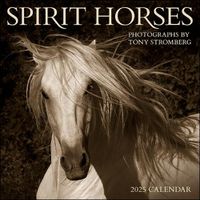 Cover image for Spirit Horses 2025 Wall Calendar by Tony Stromberg