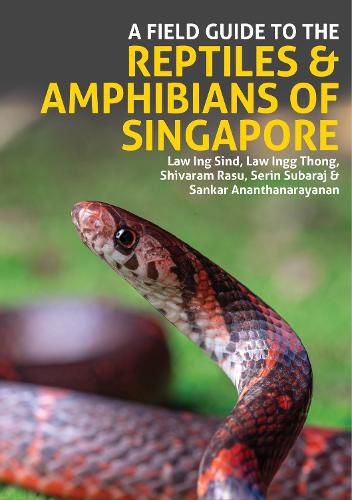 Cover image for A Field Guide to the Reptiles and Amphibians of Singapore