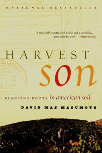 Harvest Son: Planting Roots in American Soil