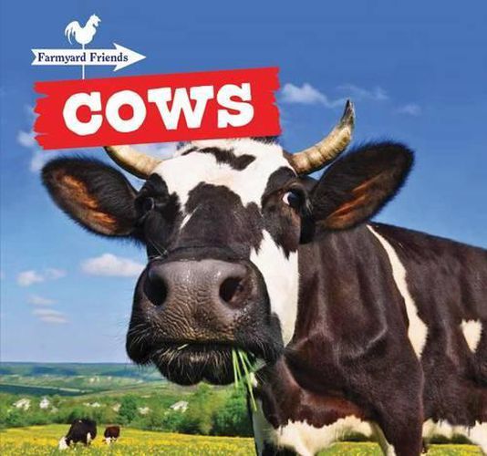 Cover image for Cows