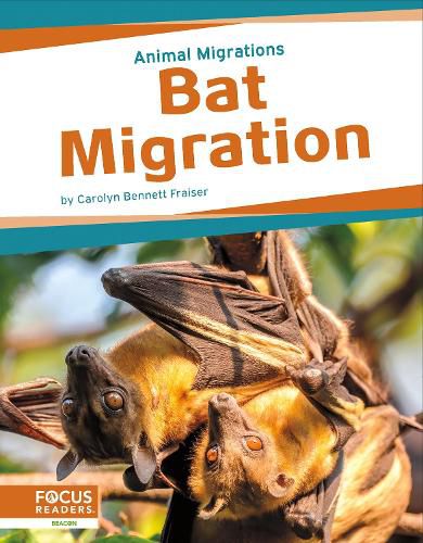 Cover image for Bat Migration