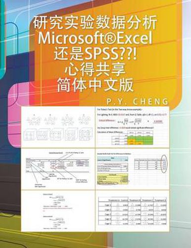 Cover image for Microsoft(r)Excel SPSS: Book 5