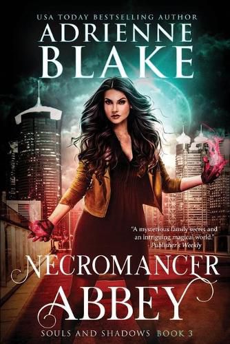 Cover image for Necromancer Abbey