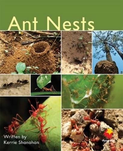 Cover image for Ant Nests