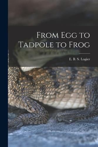 From Egg to Tadpole to Frog