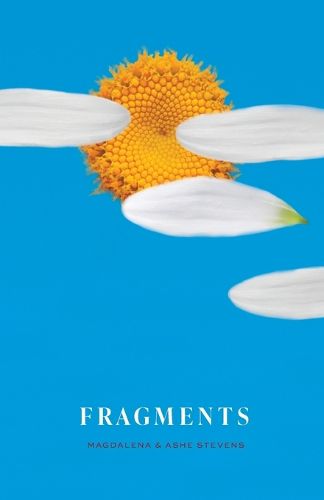 Cover image for Fragments