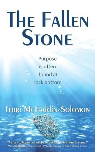 Cover image for The Fallen Stone: Purpose is often found at rock bottom