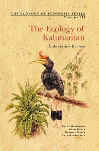 Cover image for The Ecology of Kalimantan