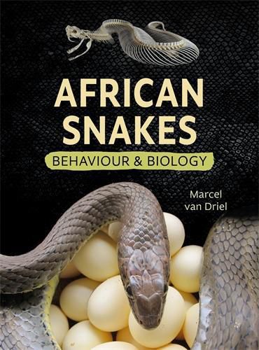 Cover image for African Snakes: Behaviour and Biology