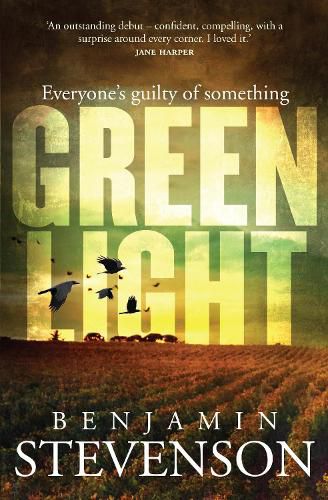 Cover image for Greenlight