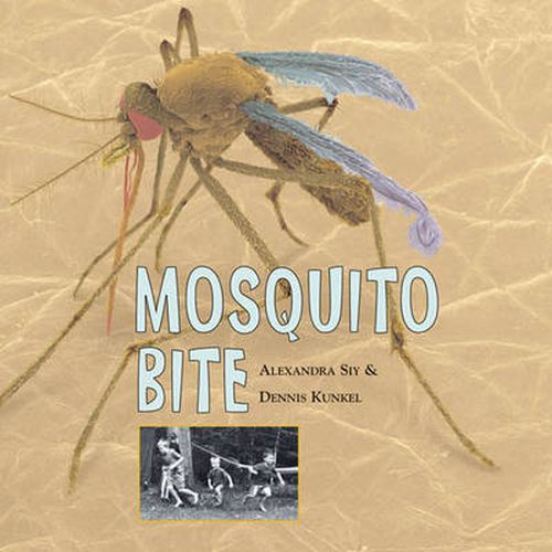 Cover image for Mosquito Bite