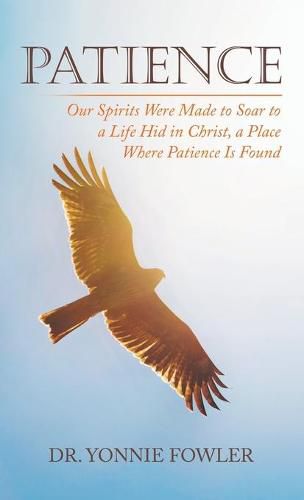 Cover image for Patience: Our Spirits Were Made to Soar to a Life Hid in Christ, a Place Where Patience Is Found