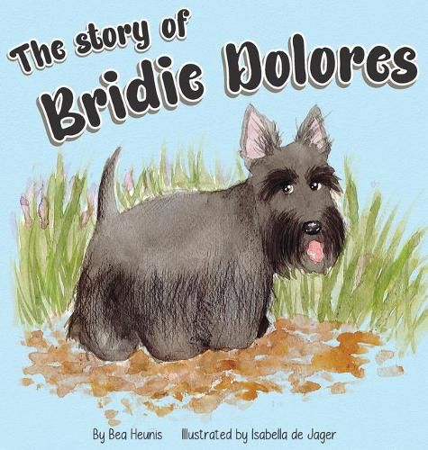 Cover image for The Story of Bridie Dolores