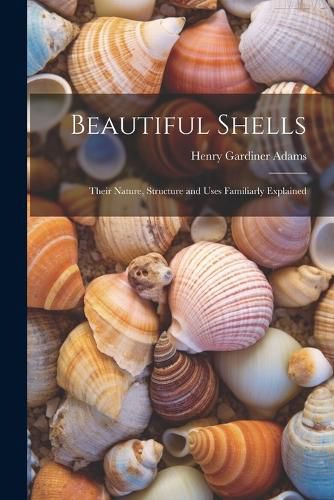 Cover image for Beautiful Shells