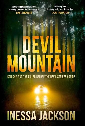 Cover image for Devil Mountain