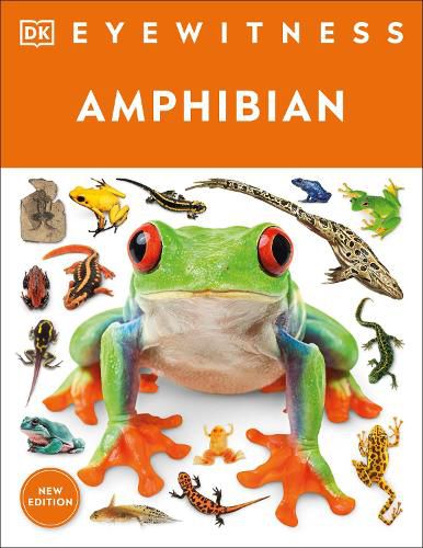 Cover image for Eyewitness Amphibian