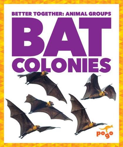 Cover image for Bat Colonies