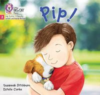 Cover image for Pip!: Phase 2