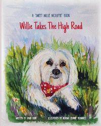 Cover image for Willie Takes the High Road