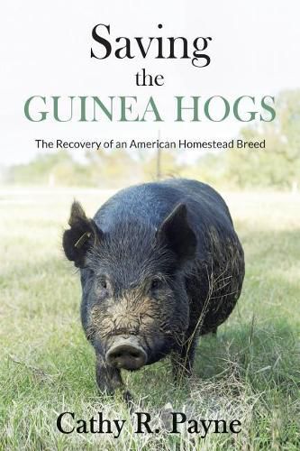 Cover image for Saving the Guinea Hogs: The Recovery of an American Homestead Breed